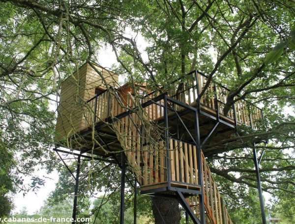 Cabane dans les arbres, perchée au milieu des feuillages verdoyants.