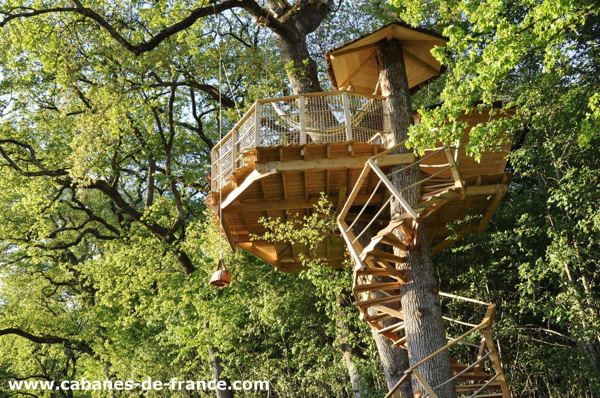 Cabane dans les arbres, perchée au milieu dune forêt verdoyante.