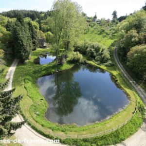 Cabane dans les arbres avec vue sur un étang entouré de verdure luxuriante.