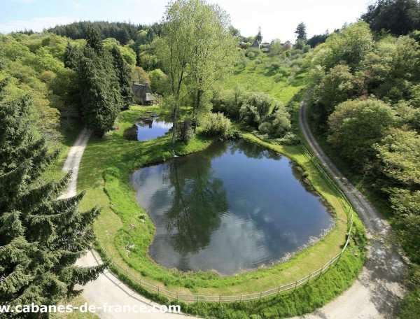 Cabane dans les arbres avec vue sur un étang entouré de verdure luxuriante.