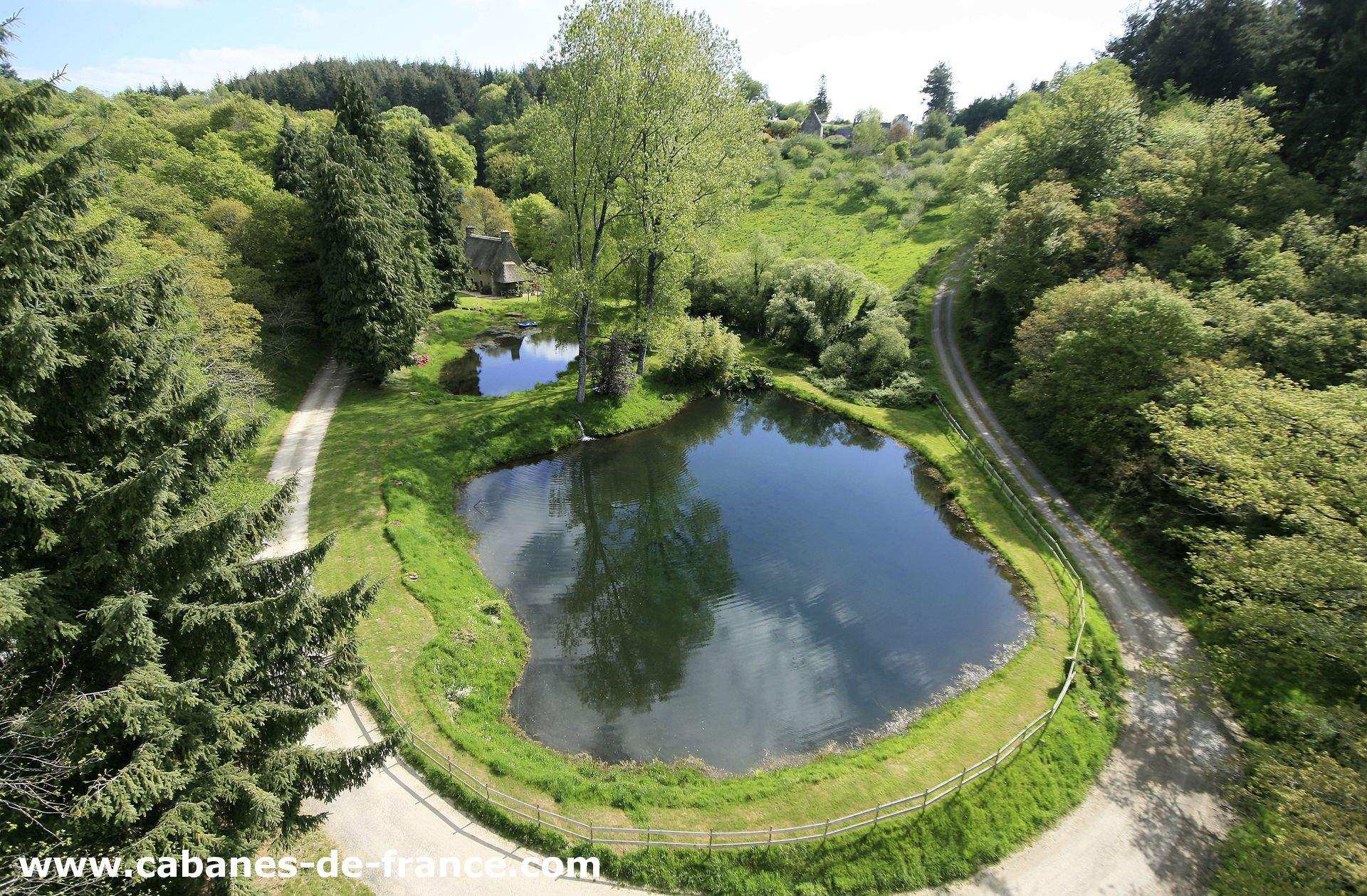 Cabane dans les arbres avec vue sur un étang entouré de verdure luxuriante.