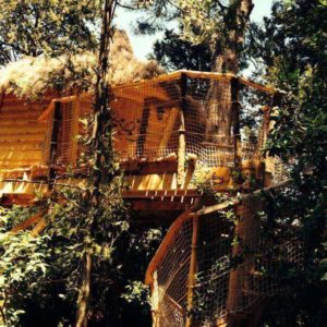 Cabane dans les arbres, perchée au milieu des feuillages luxuriants.