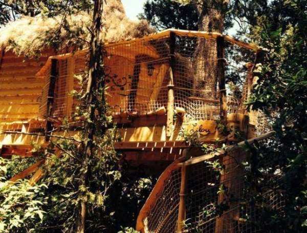 Cabane dans les arbres, perchée au milieu des feuillages luxuriants.
