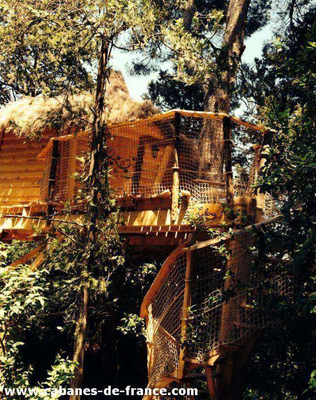 3432 Cabane dans les arbres en Languedoc-Roussillon, perchée au milieu des feuillages.