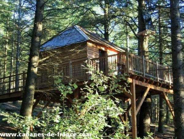 Cabane perchée en bois, entourée darbres, avec une terrasse ensoleillée.
