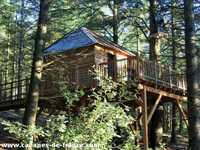 Cabane perchée en bois, entourée darbres, avec une terrasse ensoleillée.