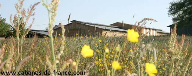 Cabane en bois entourée de fleurs sauvages dans un champ verdoyant.
