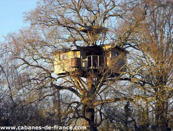 Cabane dans les arbres, perchée au sommet dun grand chêne, offrant une vue panoramique.