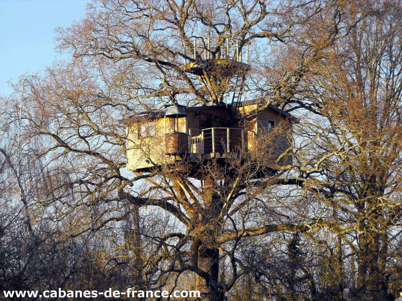 Cabane dans les arbres, perchée au sommet dun grand chêne, offrant une vue panoramique.