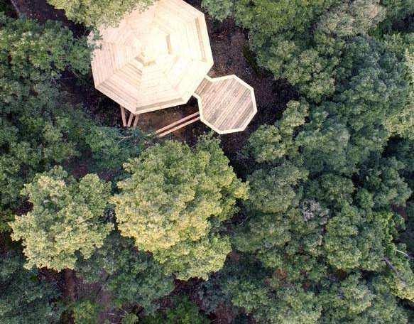 Cabane perchée dans les arbres, entourée dune dense forêt verdoyante.