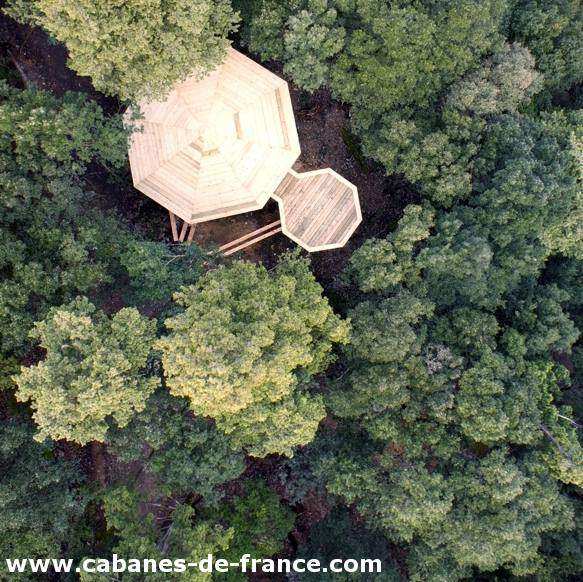 Cabane perchée dans les arbres, entourée dune dense forêt verdoyante.