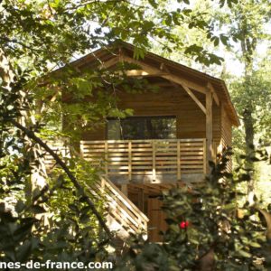 Cabane en bois perchée, entourée darbres verdoyants et dune terrasse accueillante.
