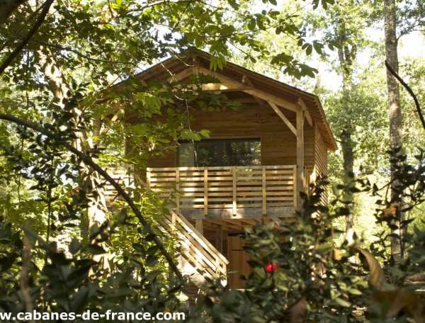 Cabane en bois perchée, entourée darbres verdoyants et dune terrasse accueillante.