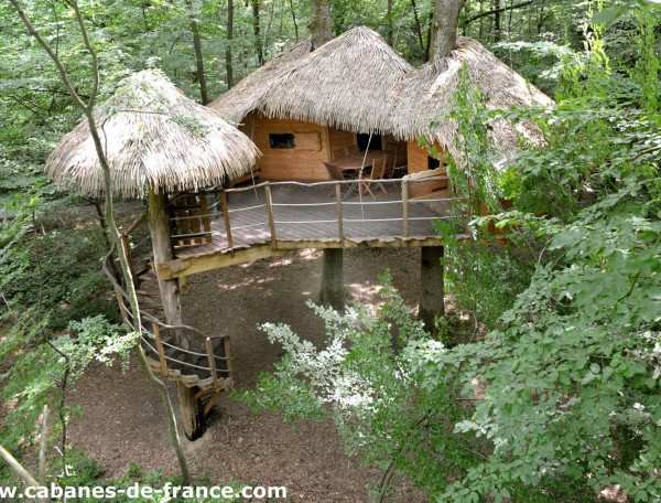 Cabane dans les arbres avec toit en chaume, entourée de verdure luxuriante.