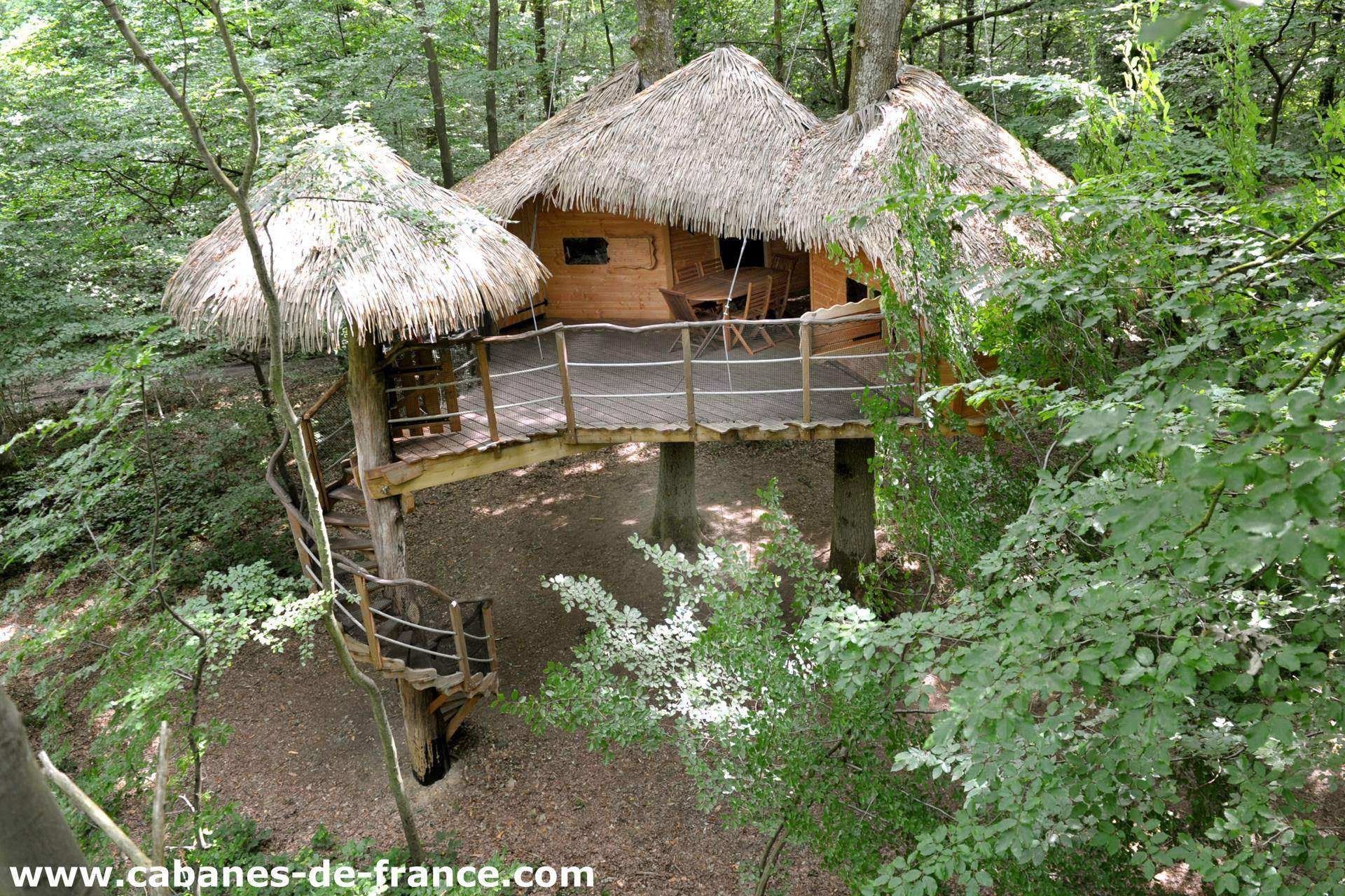 Cabane dans les arbres avec toit en chaume, entourée de verdure luxuriante.