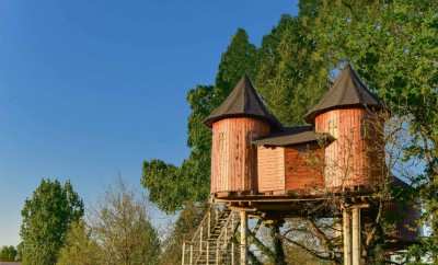 Maison dans les branches 4 ou 6 personnes – Défiplanet’