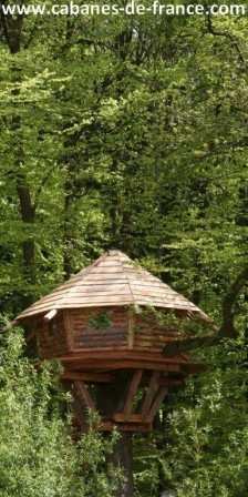 489 Cabane perchée en bois, entourée dune verdure luxuriante dans le Grand-Est.