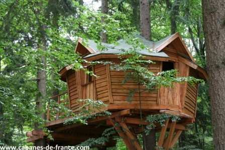 490 Cabane perchée en bois, entourée darbres verdoyants dans le Grand-Est.