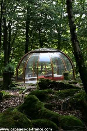511 Cabane en verre dans les arbres, entourée de verdure luxuriante à Grand-Est.