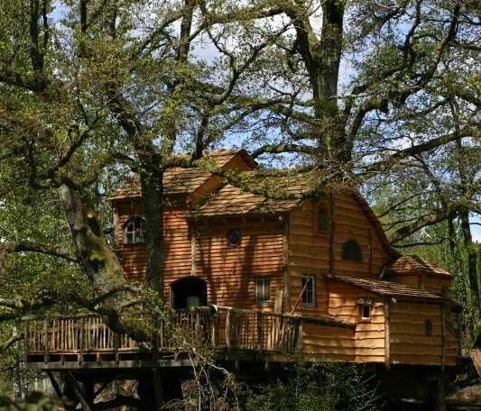 Cabane perchée dans les arbres, en bois, entourée de verdure au Limousin.