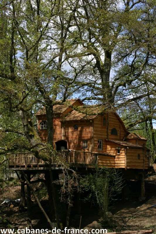Cabane perchée dans les arbres, en bois, entourée de verdure au Limousin.