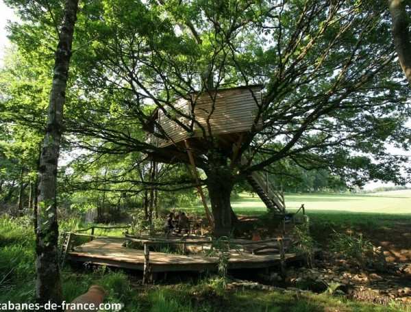 Cabane perchée dans un arbre, entourée de verdure et dune terrasse en bois.