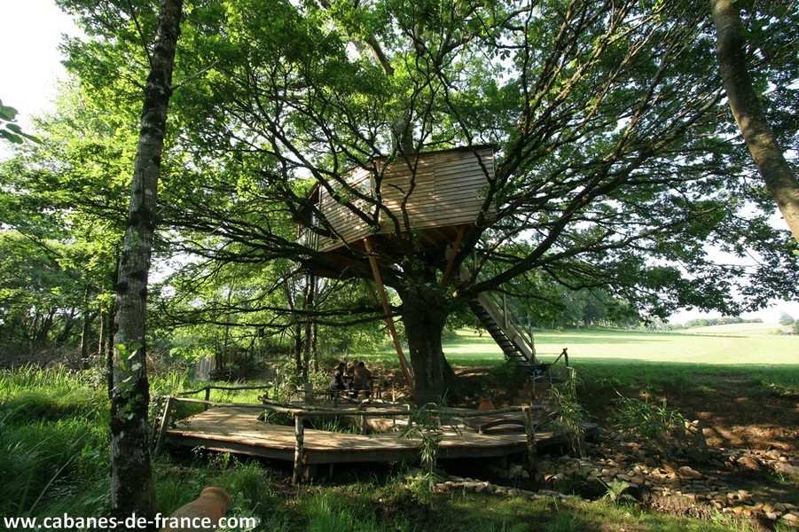 Cabane perchée dans un arbre, entourée de verdure et dune terrasse en bois.