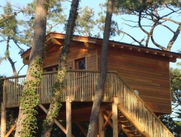 Cabane en bois perchée dans les arbres, entourée de verdure luxuriante.