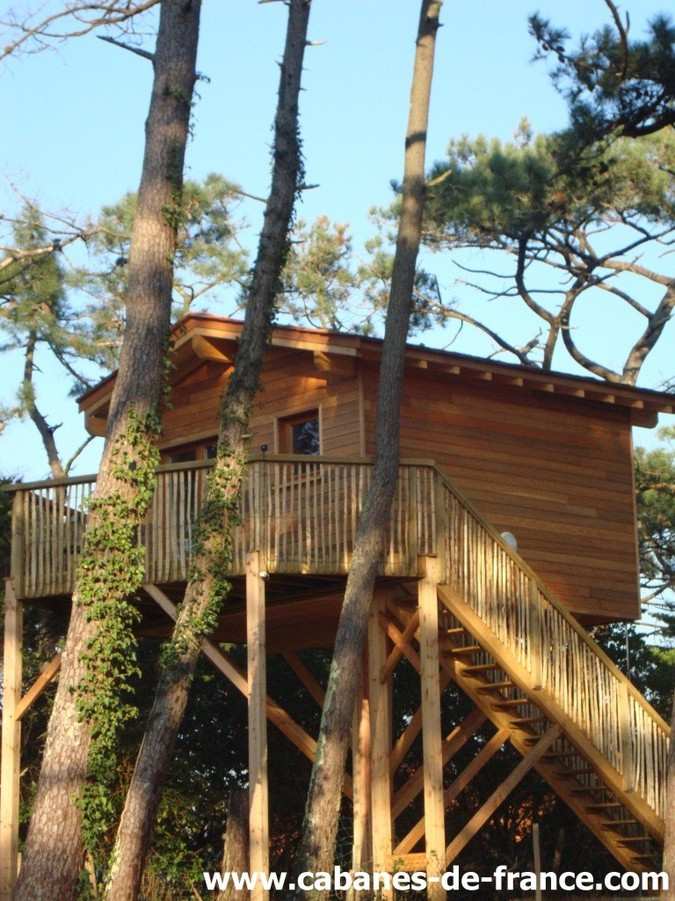 Cabane en bois perchée dans les arbres, entourée de verdure luxuriante.