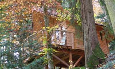 Cabane La Pervenche – Domaine de Syam