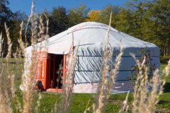 Yourte spacieuse entourée de verdure, avec une porte en bois colorée.