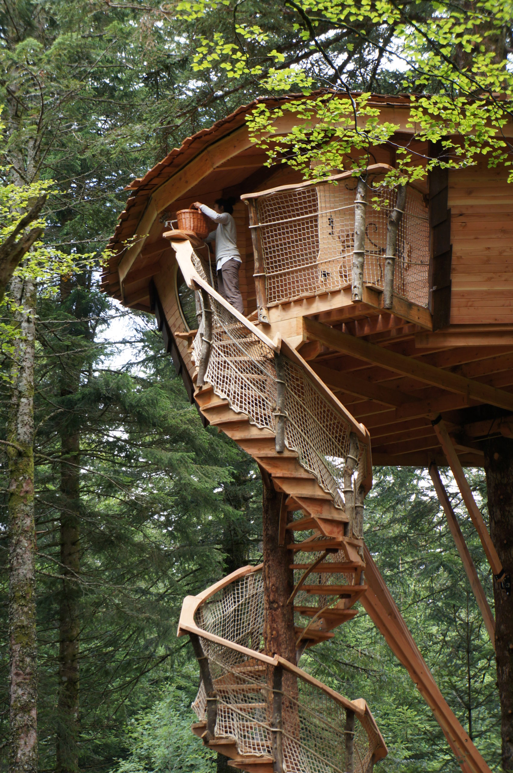 Cabane Meizou des Puys en Auvergne Cabane dans les arbres avec un escalier en bois et une vue sur la forêt environnante.