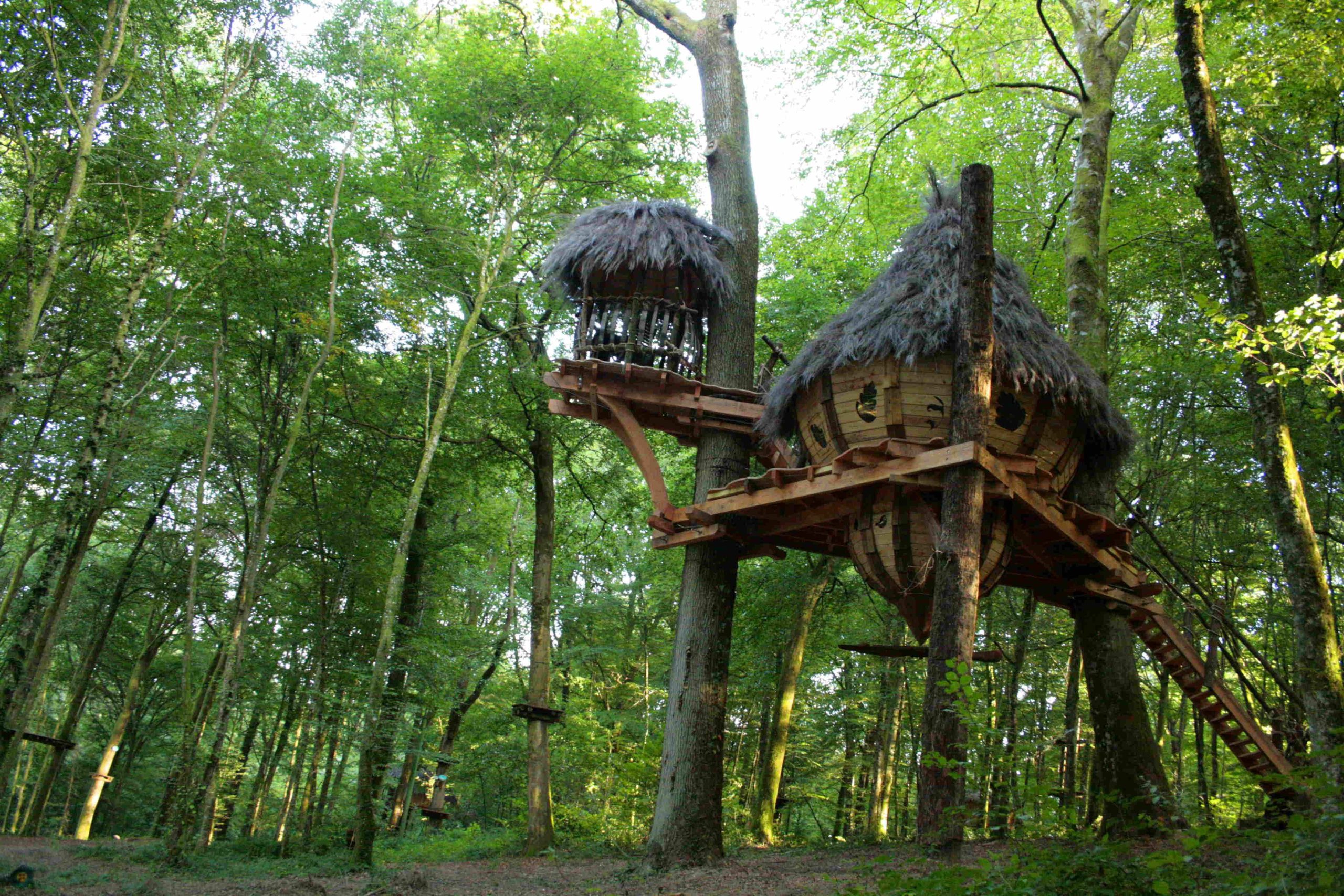Cabane insolite dans les bois