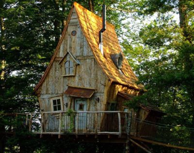 Cabane dans les arbres en bois, avec un toit en ardoise et entourée de verdure.