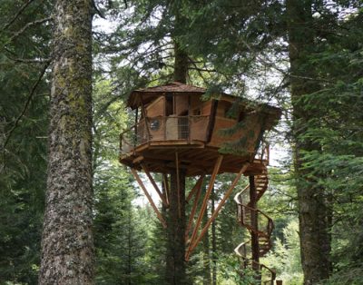 Cabane dans les arbres, perchée entre les sapins, avec une belle terrasse en bois.