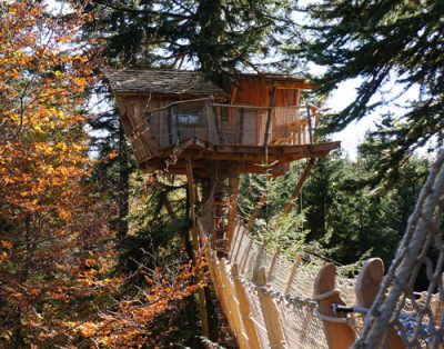 Cabane dans les arbres, perchée entre les sapins, avec une passerelle suspendue.