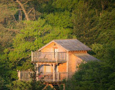 Chalet en bois niché dans la verdure, avec un balcon accueillant.