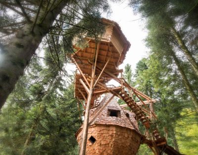 Cabane dans les arbres, perchée entre les sapins, avec un design en bois chaleureux.