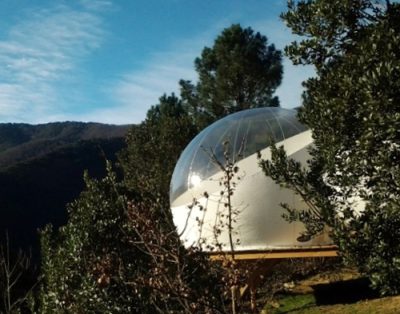 Hébergement insolite : bulle transparente perchée au milieu de la nature verdoyante.