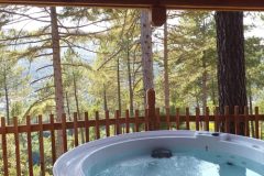 Chalet en bois avec jacuzzi, offrant une vue imprenable sur la forêt environnante.