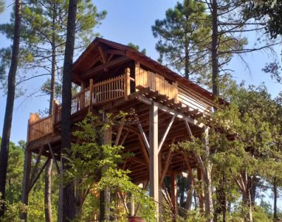 Cabane dans les arbres en bois, perchée au milieu dune forêt verdoyante.