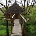 Cabane dans les arbres avec un toit de chaume, accessible par un pont en bois.