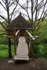 Cabane dans les arbres avec un toit de chaume, accessible par un pont en bois.