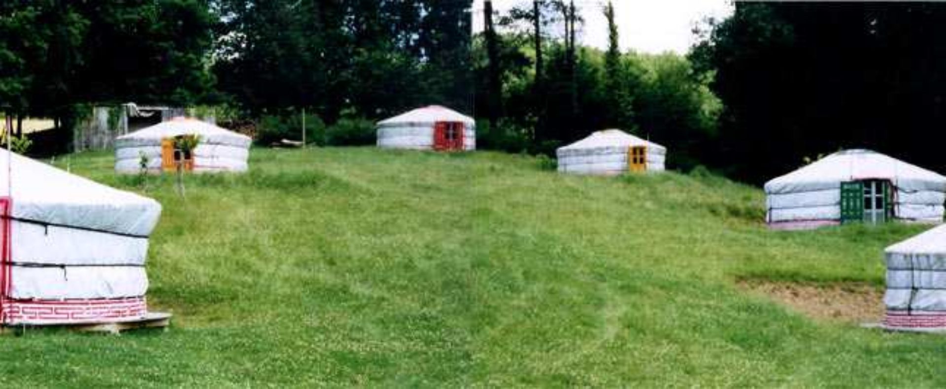 Yourtes colorées sur un terrain verdoyant, offrant une expérience unique en pleine nature.