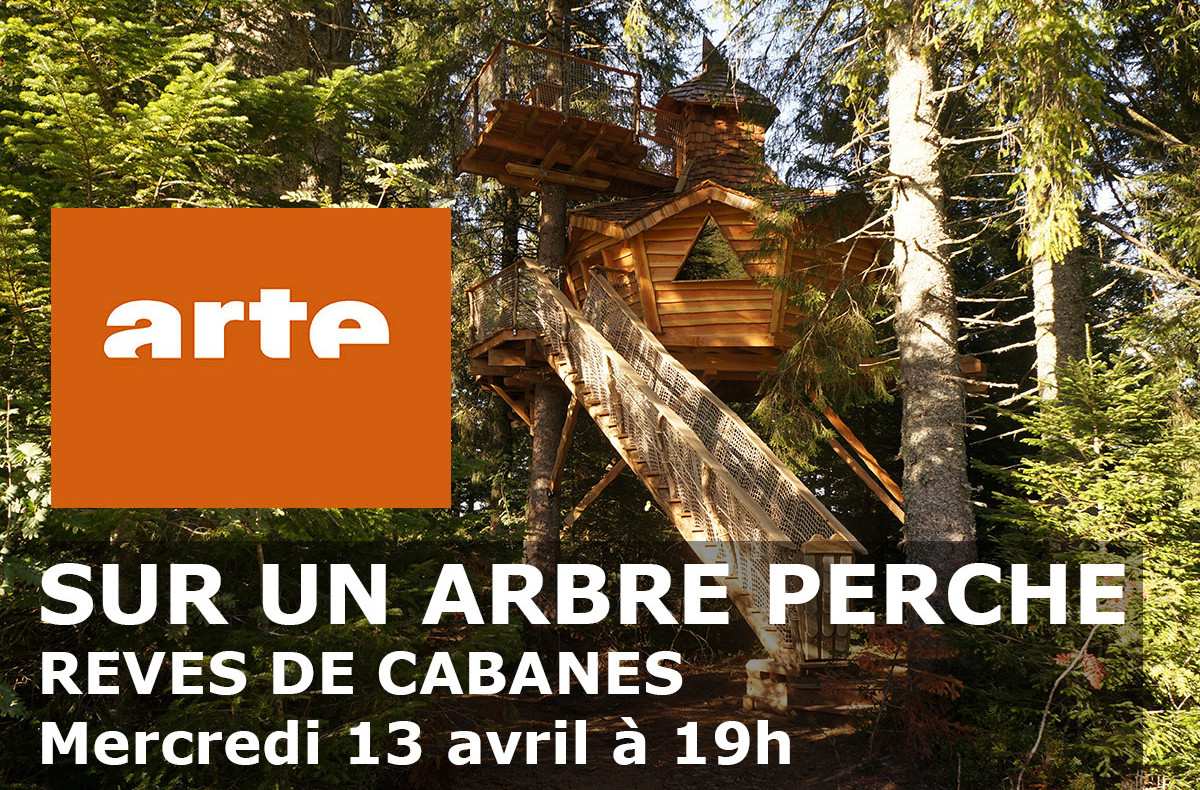 Cabane perchée dans les arbres, entourée de verdure luxuriante et dun escalier en bois.