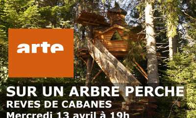 Cabane perchée dans les arbres, entourée de verdure luxuriante et dun escalier en bois.