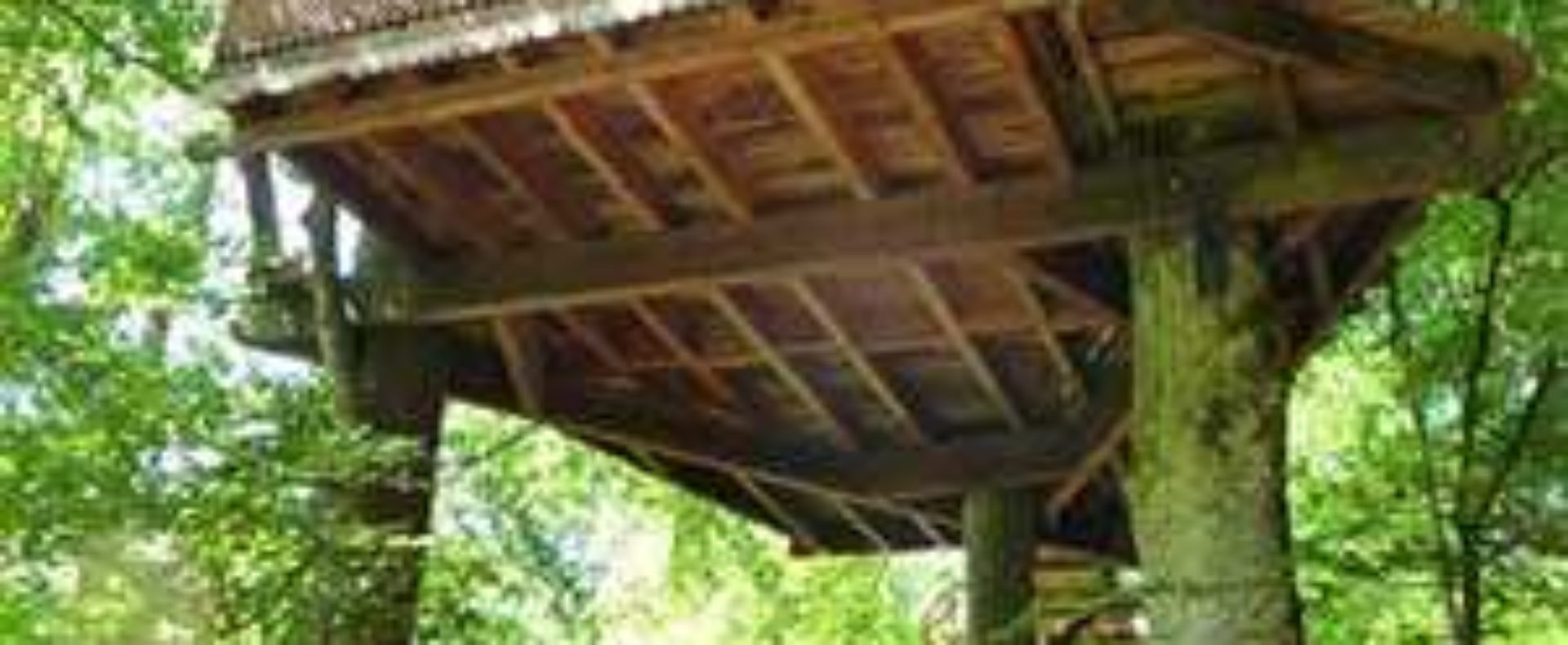 Cabane dans les arbres, perchée entre les feuillages, offrant une vue apaisante.