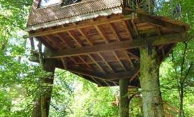 Cabane dans les arbres, perchée entre les feuillages, offrant une vue apaisante.