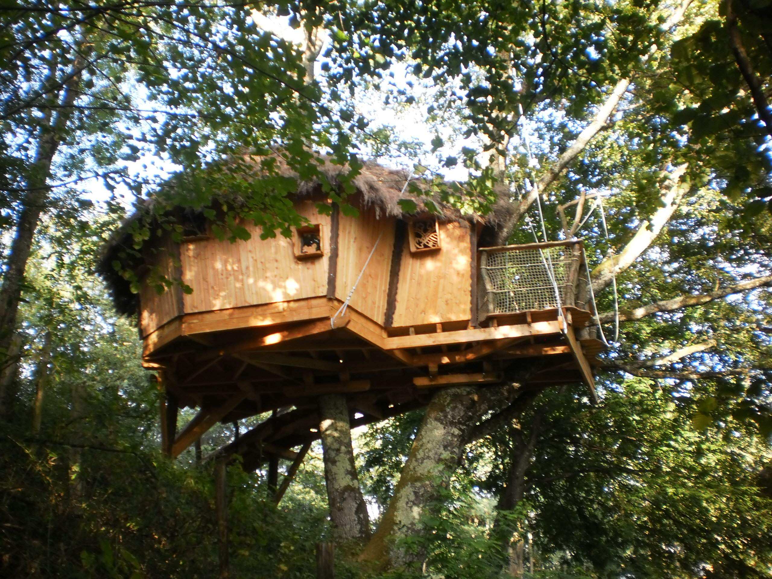 4287 Cabane perchée en bois dans les arbres, entourée de verdure luxuriante.