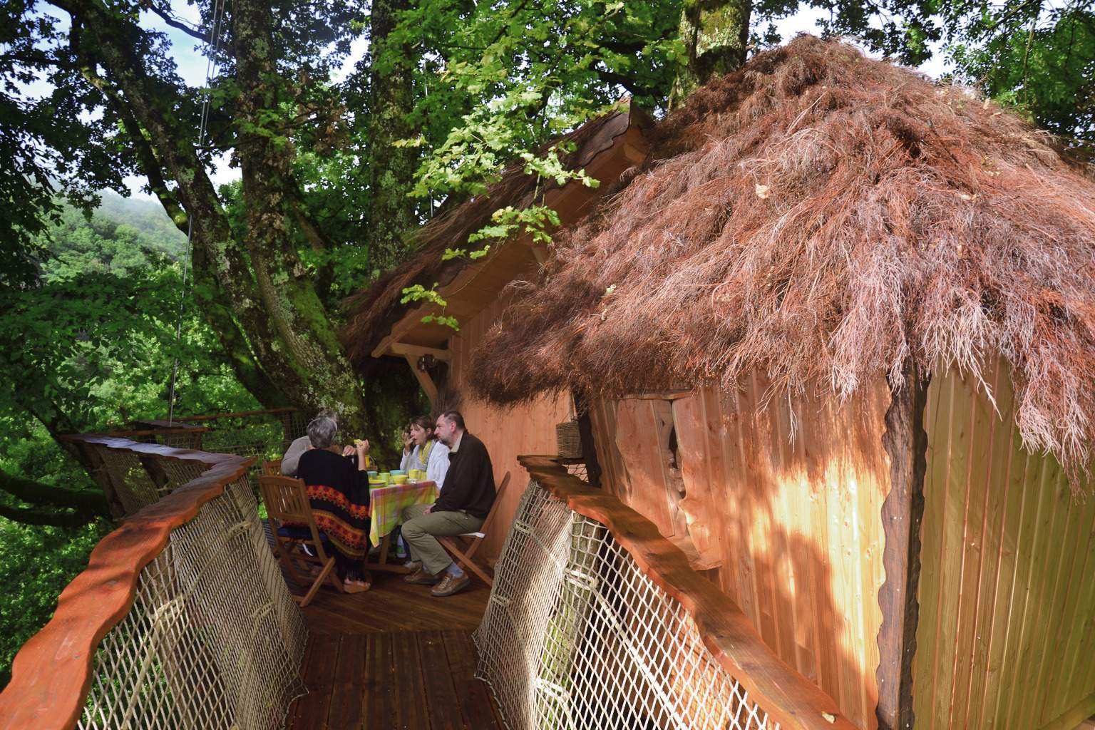 4290 Cabane perchée dans les arbres, avec terrasse en bois et vue sur la nature environnante.